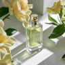 Customized Transparent Square Glass Perfume Bottle in various shapes