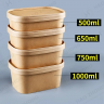 Biodegradable Lunch Box, Salad Bento Box, Rectangular Bowl