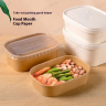 Biodegradable Lunch Box, Salad Bento Box, Rectangular Bowl