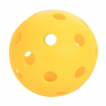 Haozhong 26 hole indoor pickleball