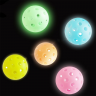 Glow in the Dark Pickleball