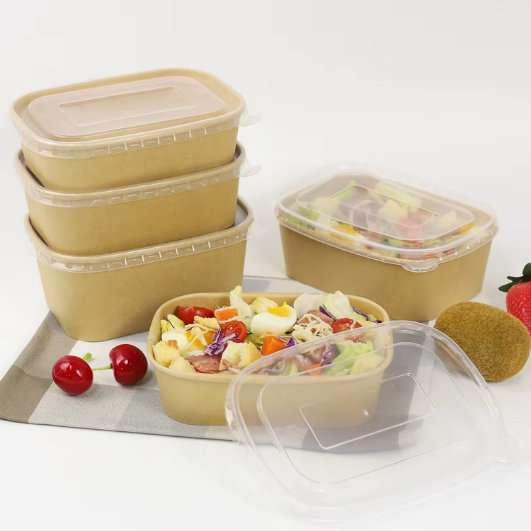 Biodegradable Lunch Box, Salad Bento Box, Rectangular Bowl