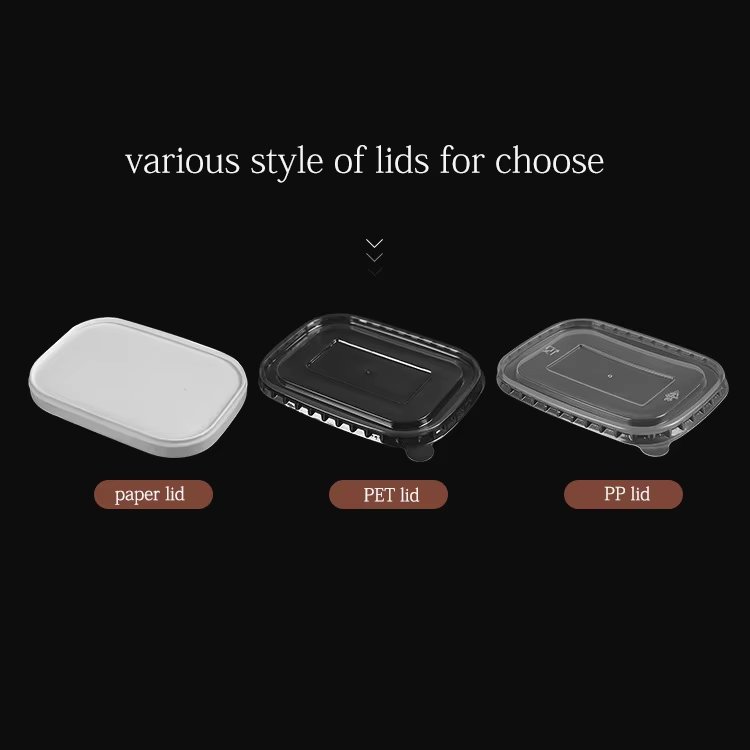 Biodegradable Lunch Box, Salad Bento Box, Rectangular Bowl