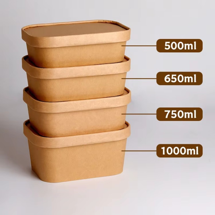 Biodegradable Lunch Box, Salad Bento Box, Rectangular Bowl