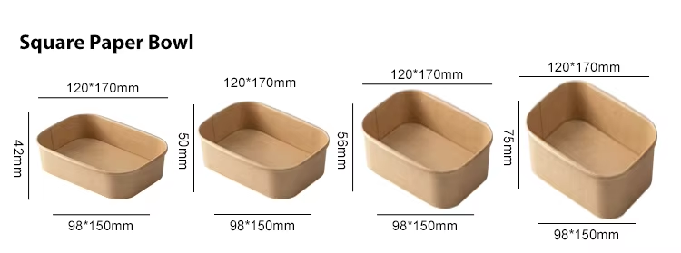 Biodegradable Lunch Box, Salad Bento Box, Rectangular Bowl
