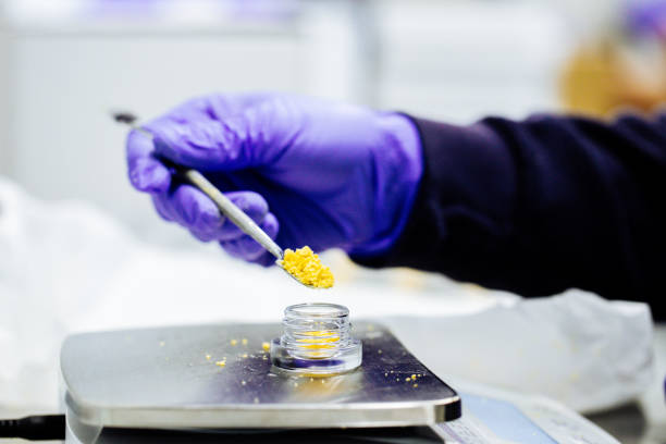 Cannabis Packaging in 2026: Key Trends, Rising Demands, and Turnkey Custom Solutions for US, Canada, Europe, and Australia Markets