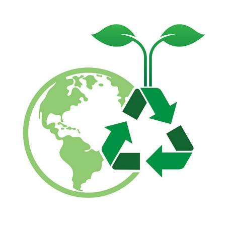 The Nutraceutical Market